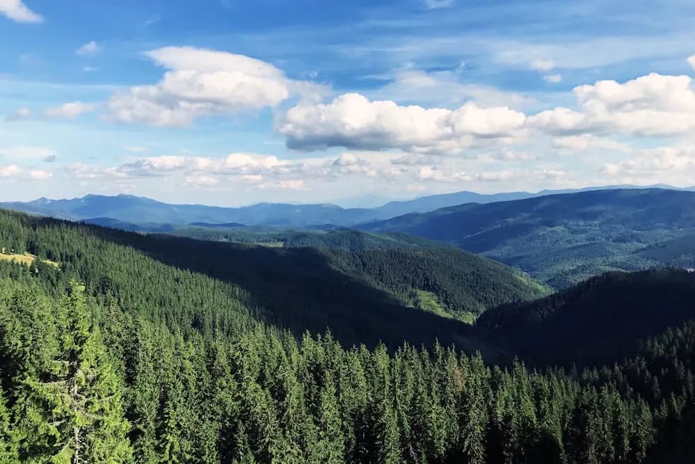 Forested hills under a clouded sky.